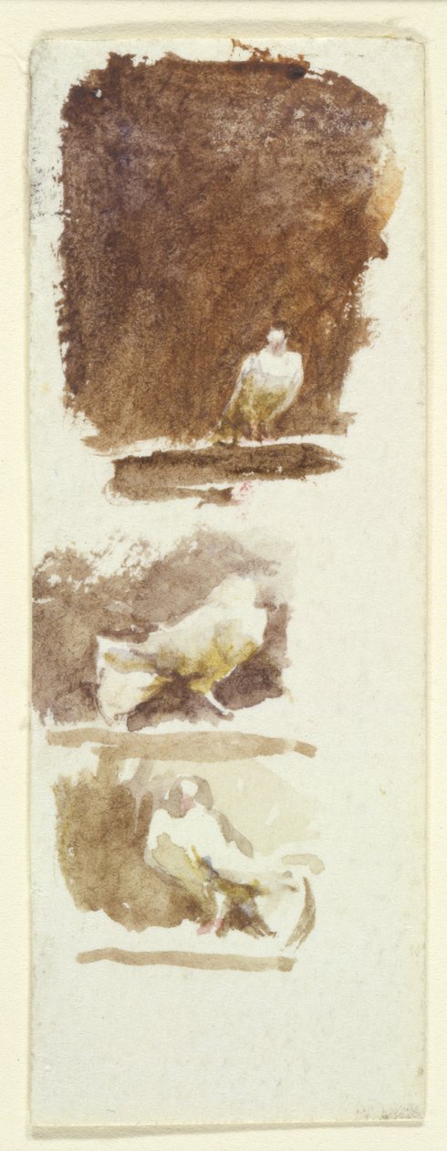 Duer (wc på papir) af Helen Allingham