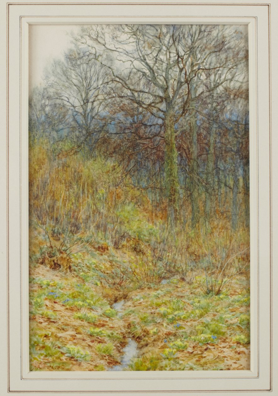 Our Primrose Wood, 1913 af Helen Allingham