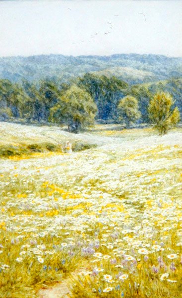 Oxeye Daisies, nær Westerham, Kent (akvarel på papir) af Helen Allingham