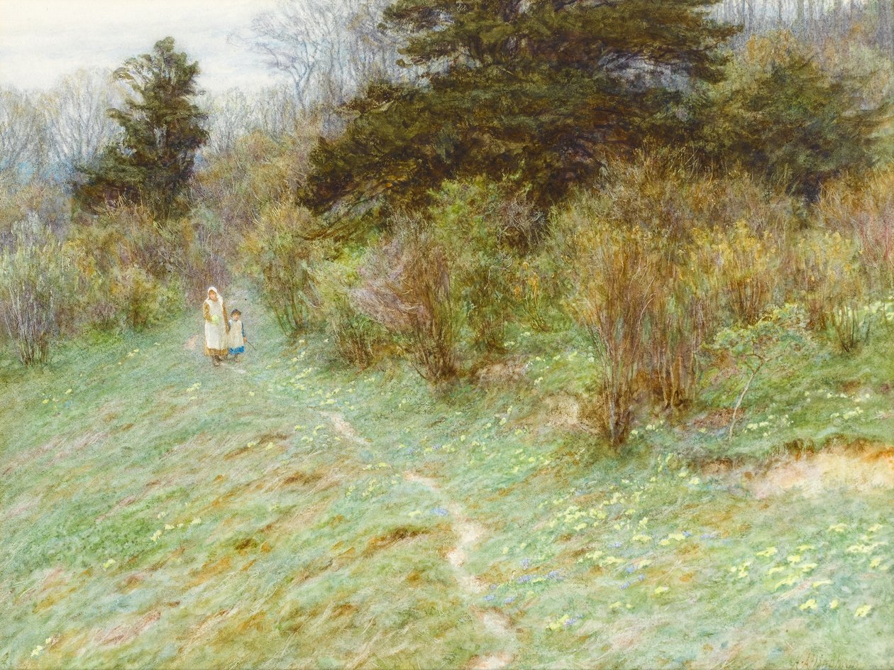 Primroses on a Surrey Heath (wc på papir) af Helen Allingham