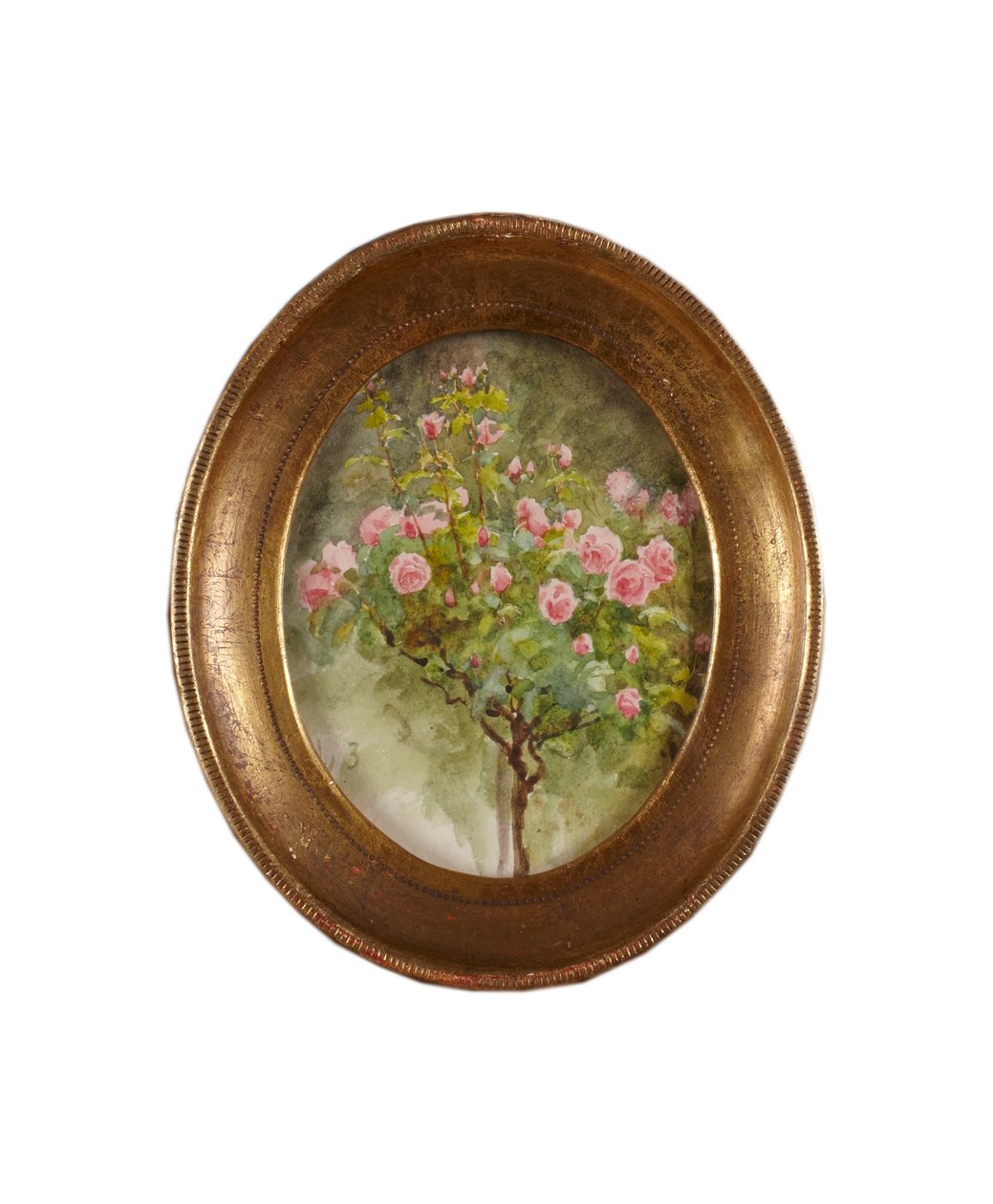 Rose Bush (akvarel på papir) af Helen Allingham