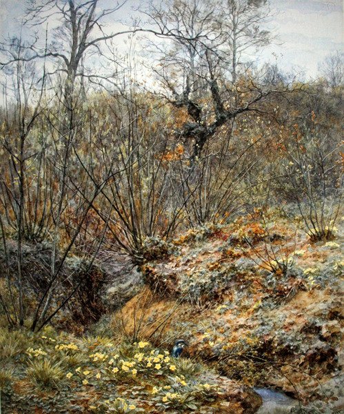 Spring copse, Witley, Surrey (akvarel på papir) af Helen Allingham