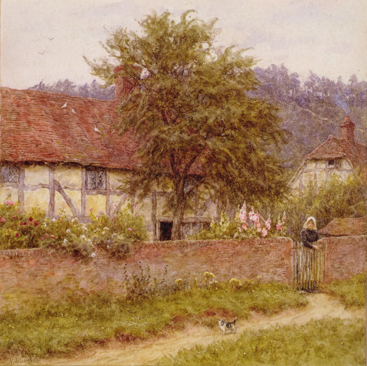 The Stray Kitten, c.1891 (olie på lærred) af Helen Allingham