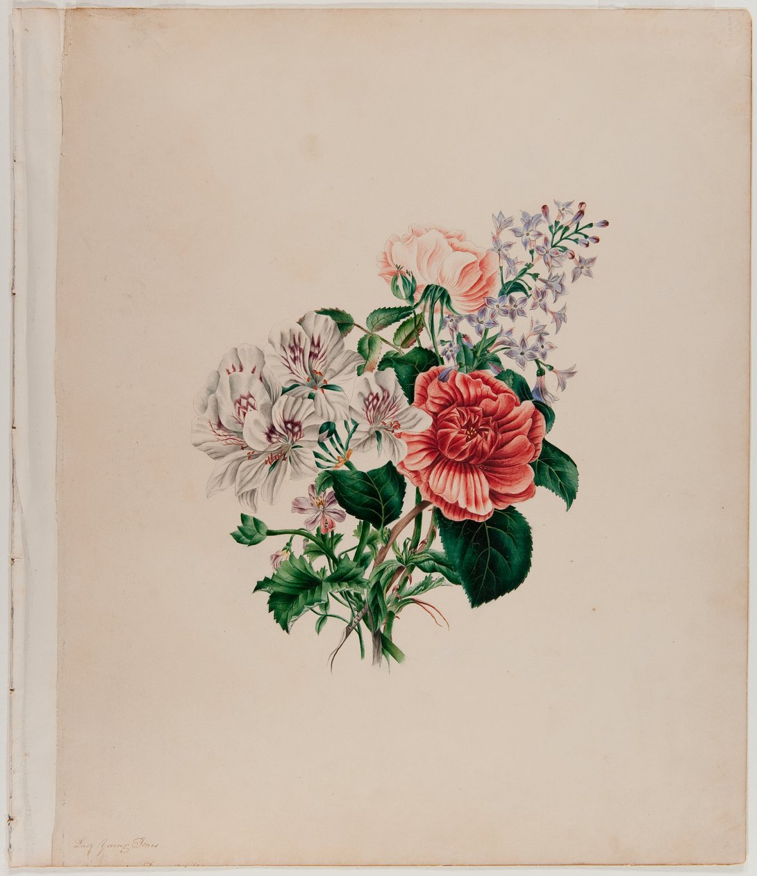 St. Leon Bouquet, ca. 1842 (akvarel på papir) af Helen Lockie and family Jones