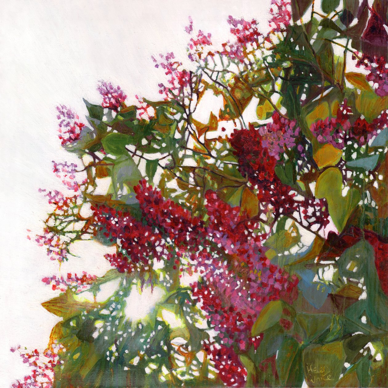 Aglow, 2015 af Helen White