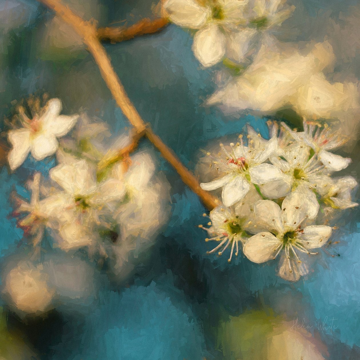 Æbleblomst, 2019 af Helen White