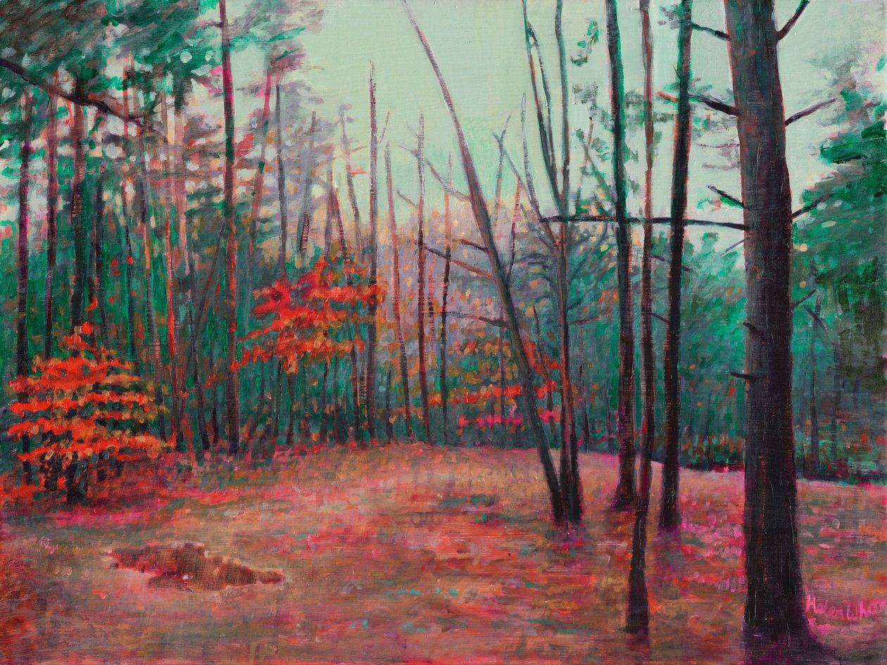Syksyn raivaus, 2022 af Helen White