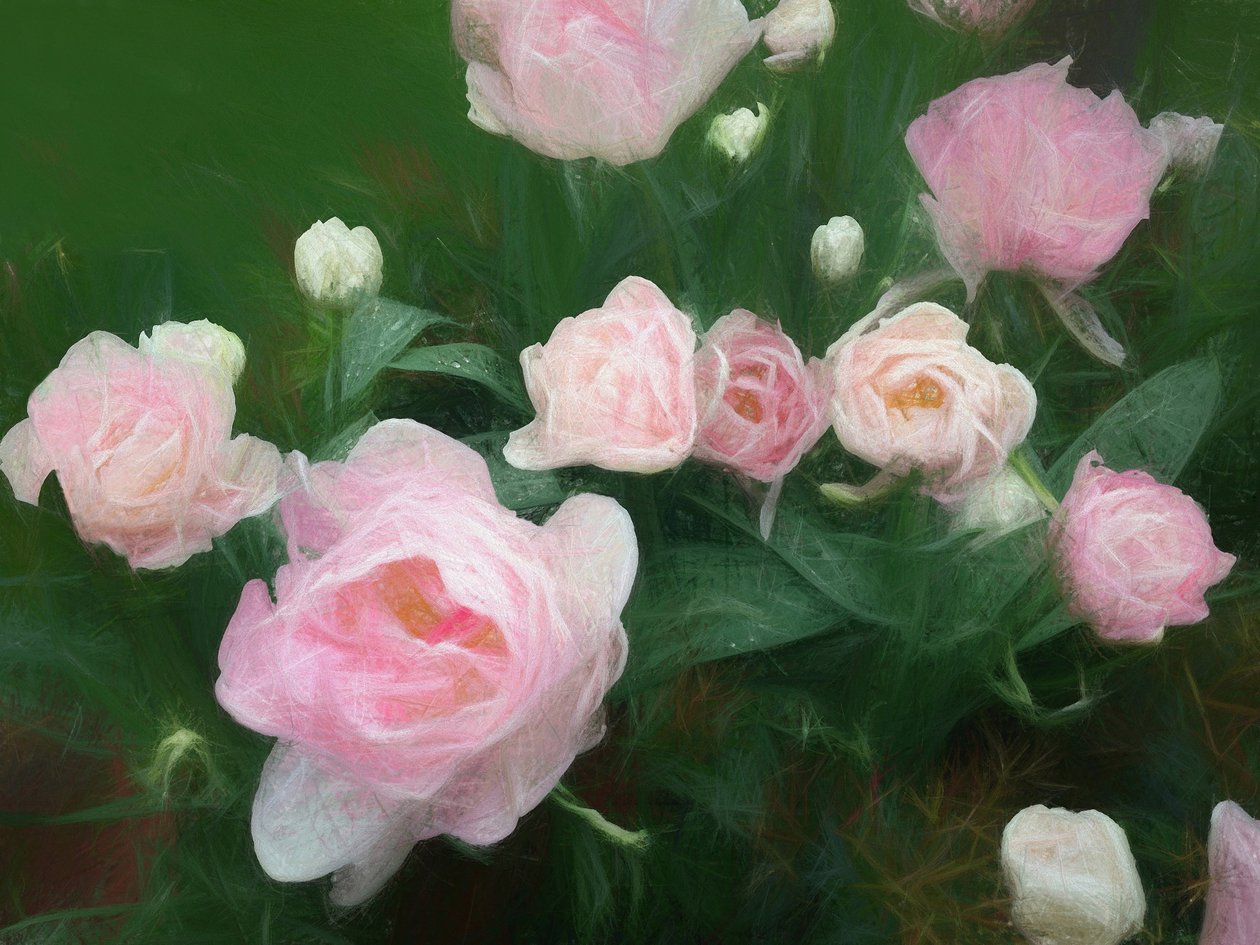 Bed of Roses, 2018 af Helen White