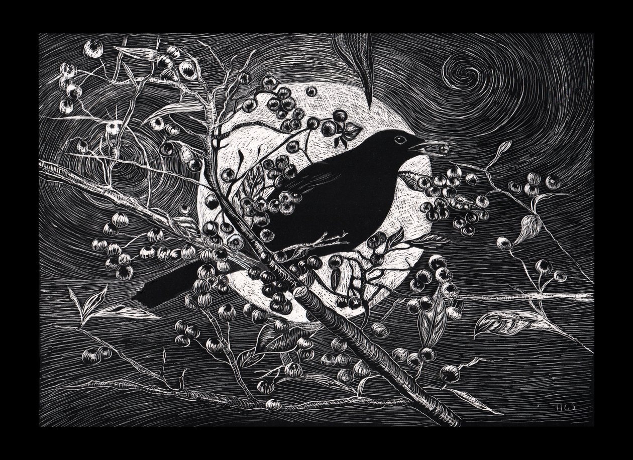 Blackbird, 2023 af Helen White