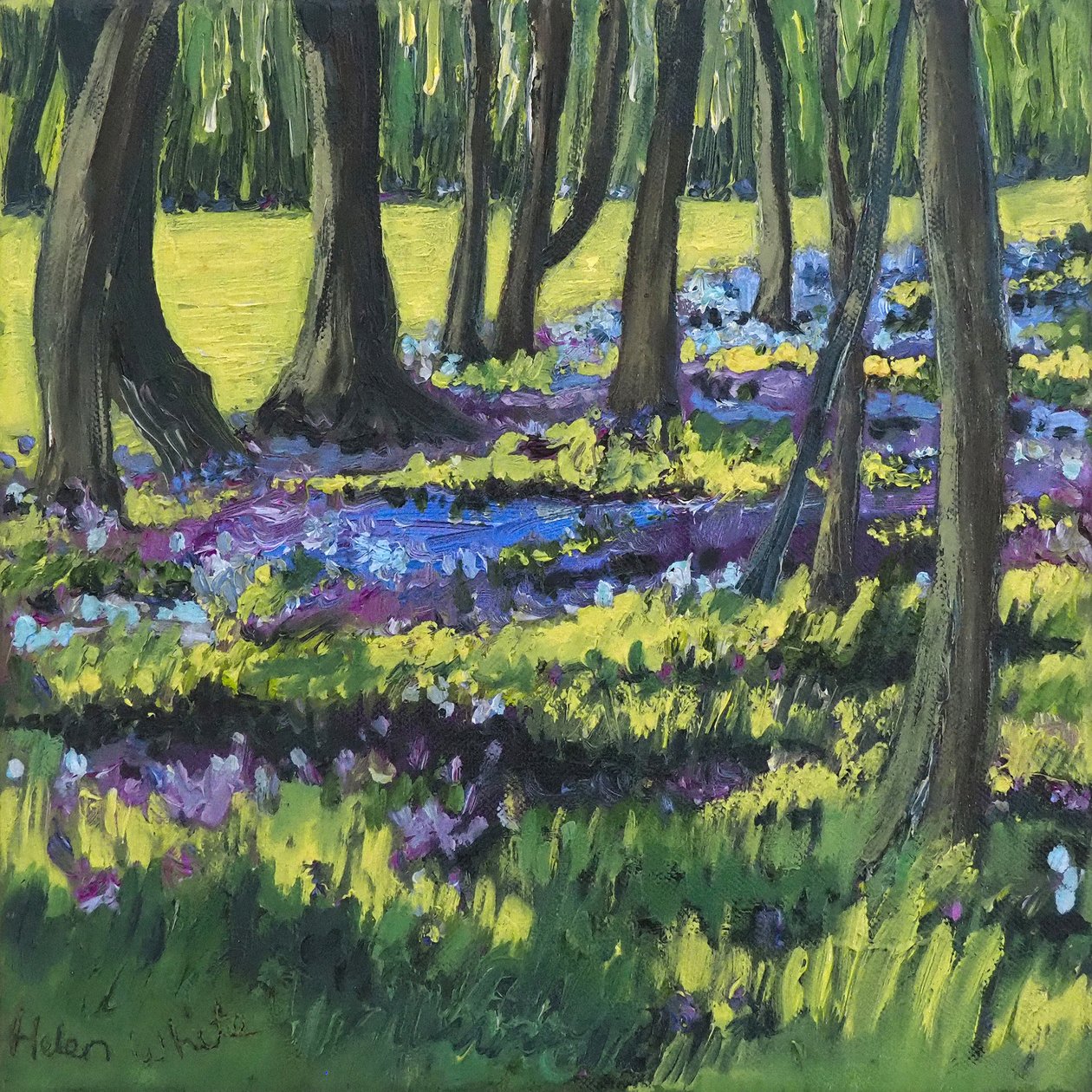 Bluebell Wood, 2008 af Helen White