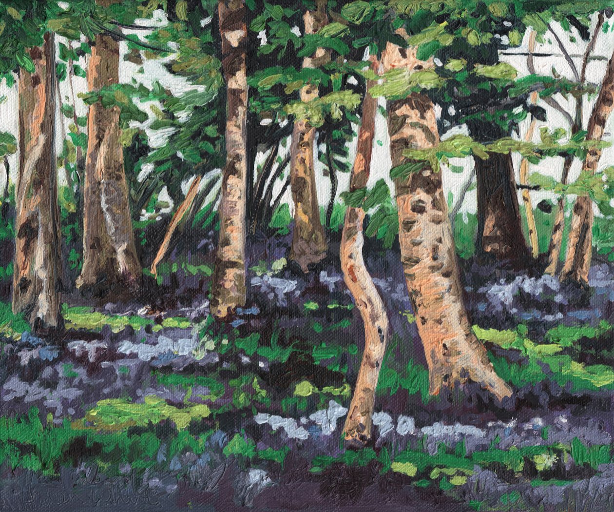 Blåklokketræ, 2009, af Helen White