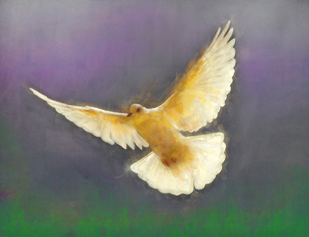 Bringer of Peace, 2019 af Helen White
