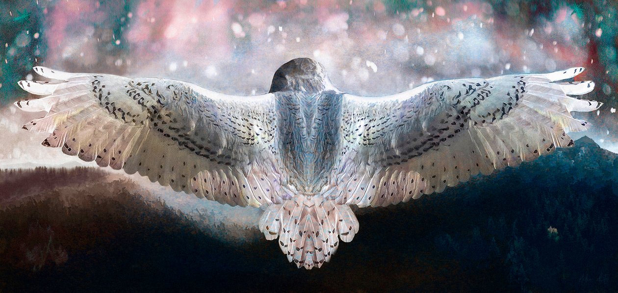 Dare to Fly, 2019 af Helen White