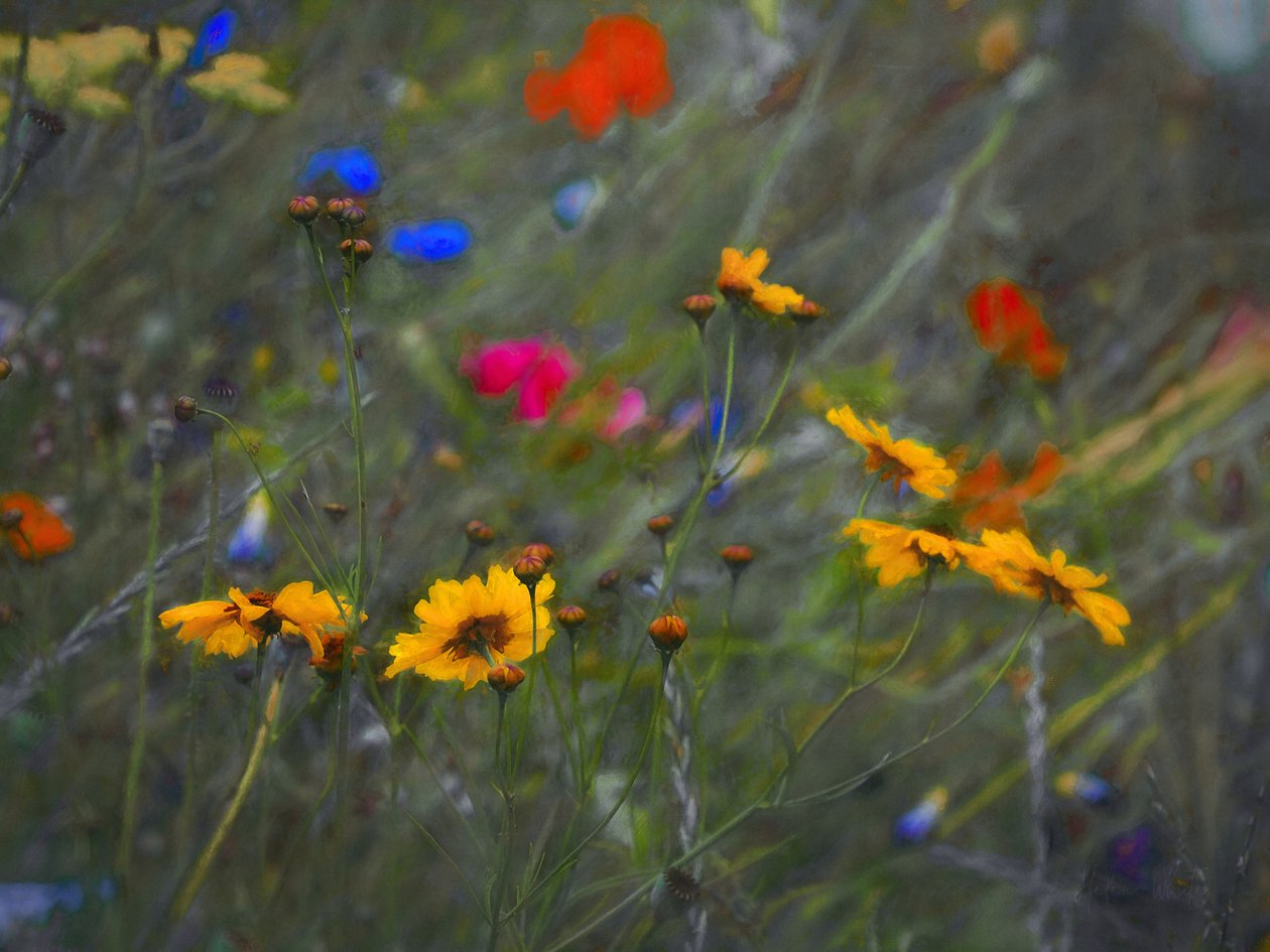 Divine Mystery, 2020 af Helen White