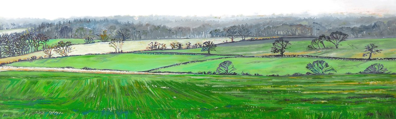 Fra toppen af Farley Hill, 2008 af Helen White