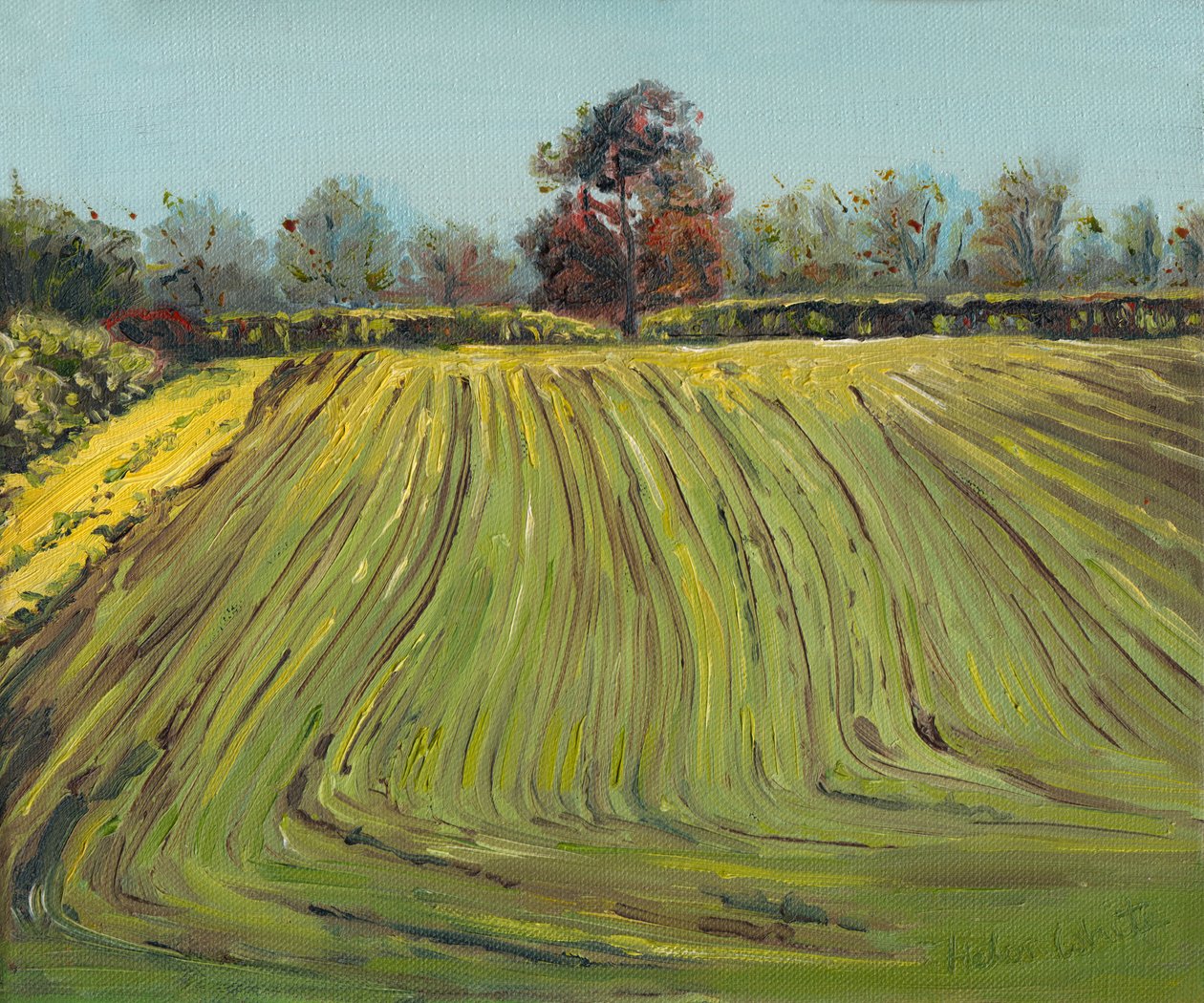 Furer, 2008 af Helen White