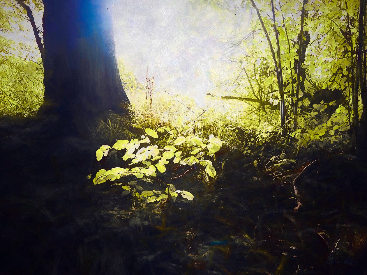 Helliget sted, 2018 af Helen White