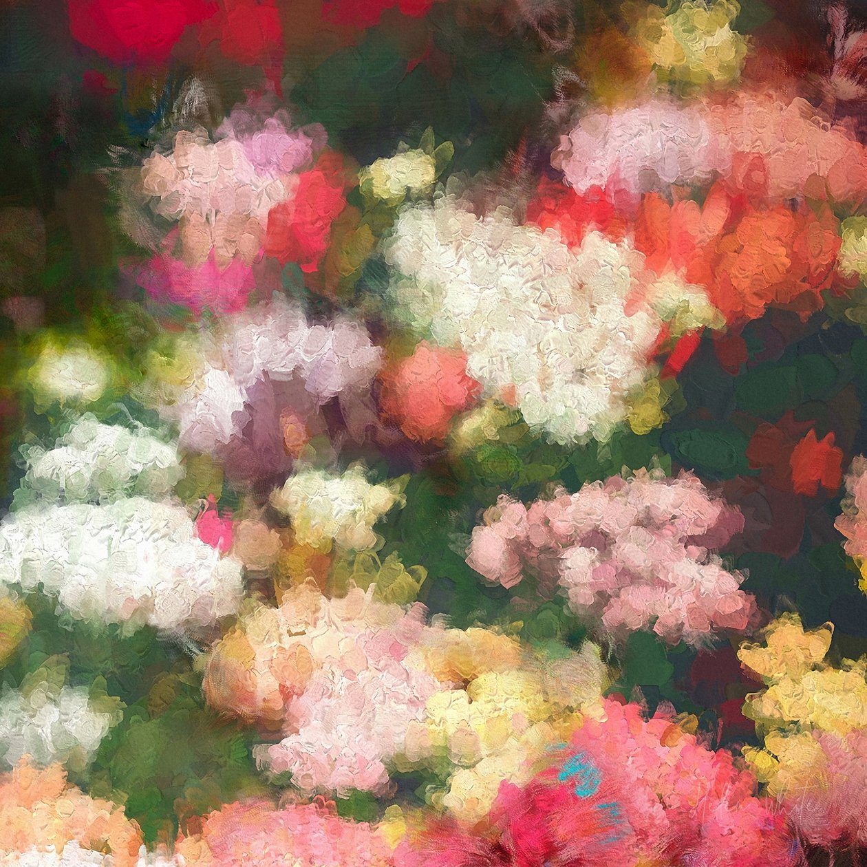 Hjertets have, 2018 af Helen White