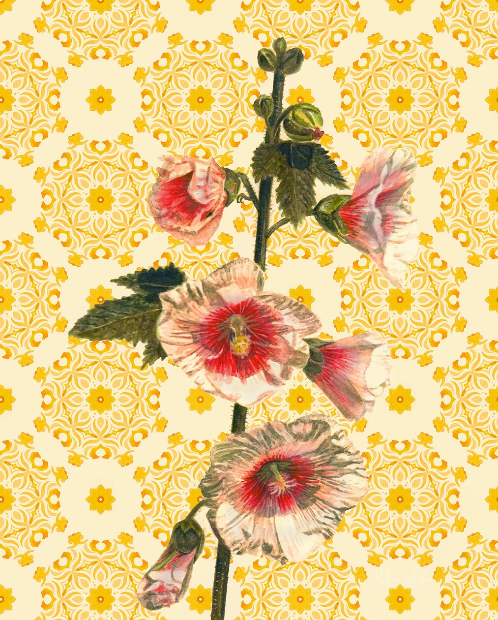 Hollyhocks on Sunshine, 2021 (akvarel) af Helen White
