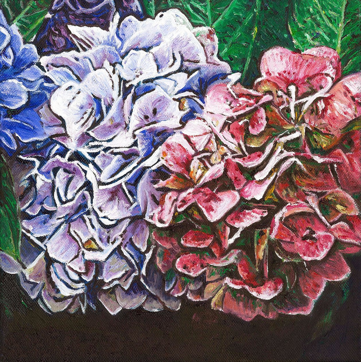 Hortensia, 2010, af Helen White