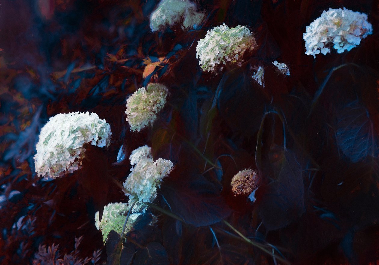 I det blege måneskin, 2019 af Helen White