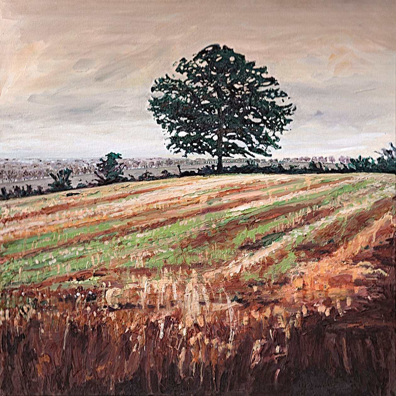 Sent eftermiddagsfelt, 2009 af Helen White