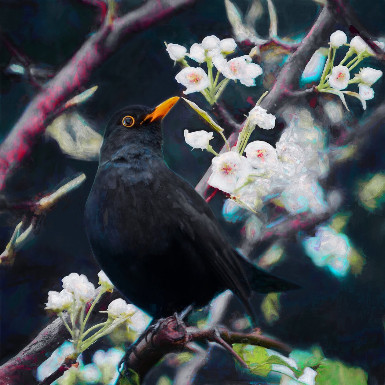Sommersangens herre, 2019 af Helen White