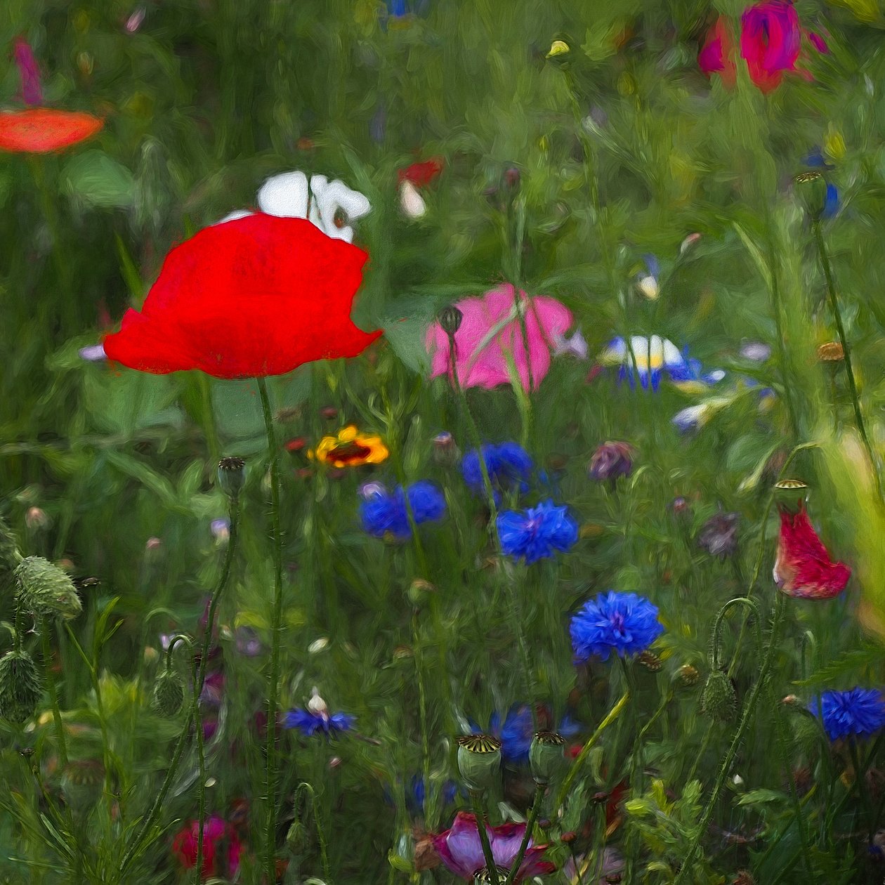 Naturens farvekasse, 2019 af Helen White