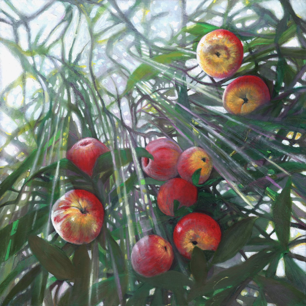 Nyt lys på Eden, 2016, af Helen White