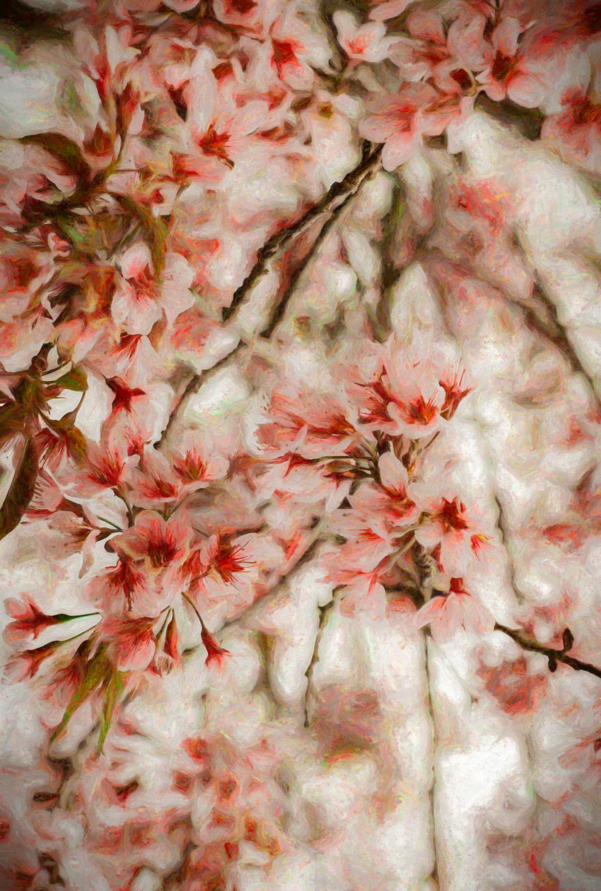 Orientalis, 2020 af Helen White