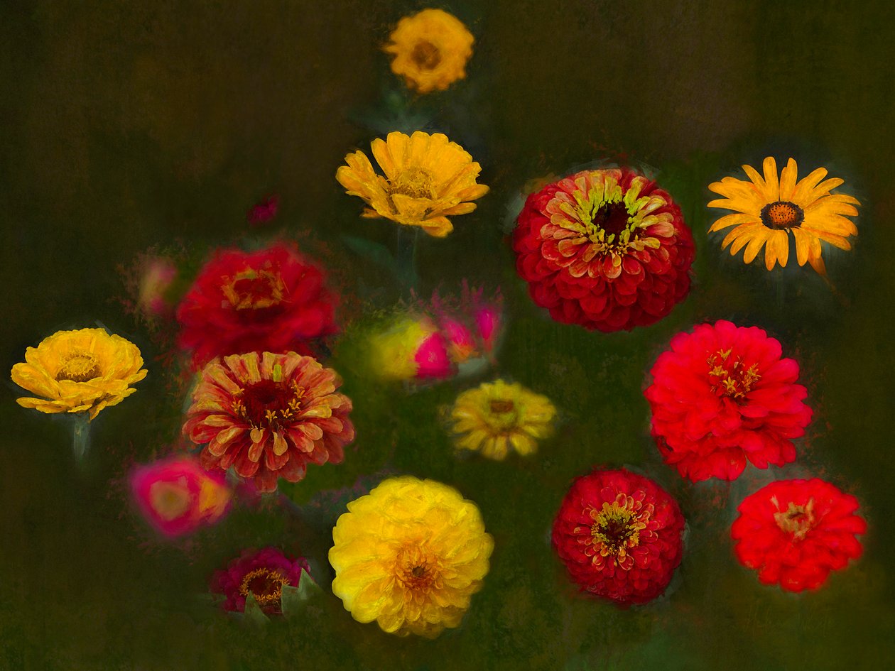 Enestående skønhed, 2019 af Helen White