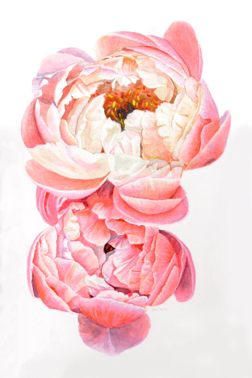  af Helen White