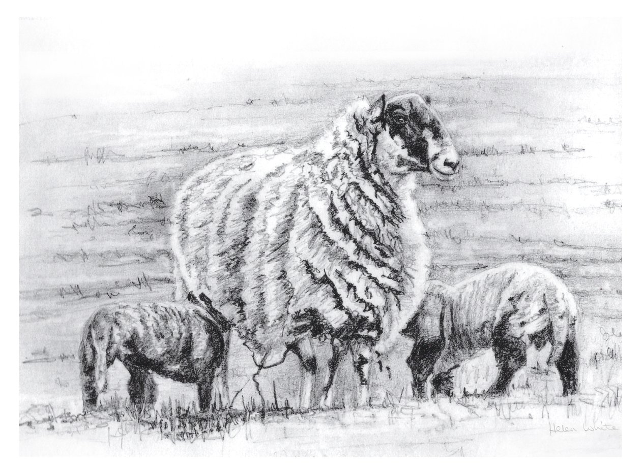  af Helen White