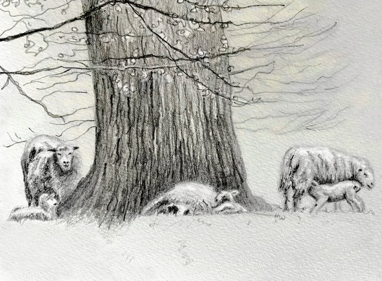  af Helen White