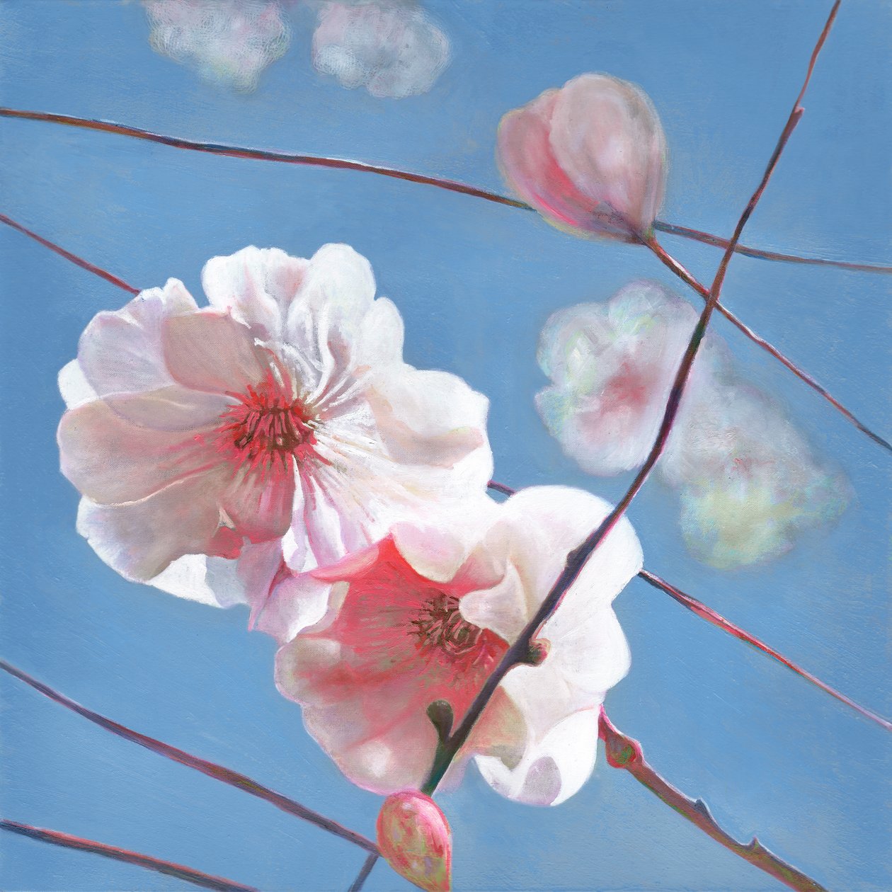 Shining Start, 2015 af Helen White
