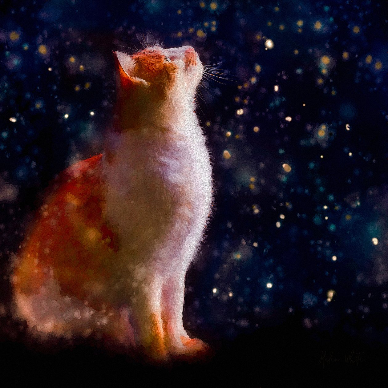 Snow Gazing, 2019 af Helen White