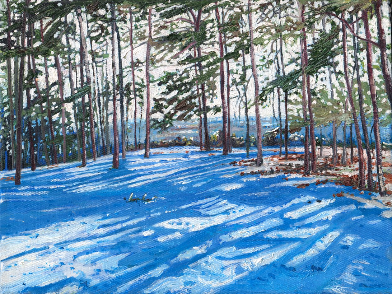 Snowy Ridge, 2009 af Helen White