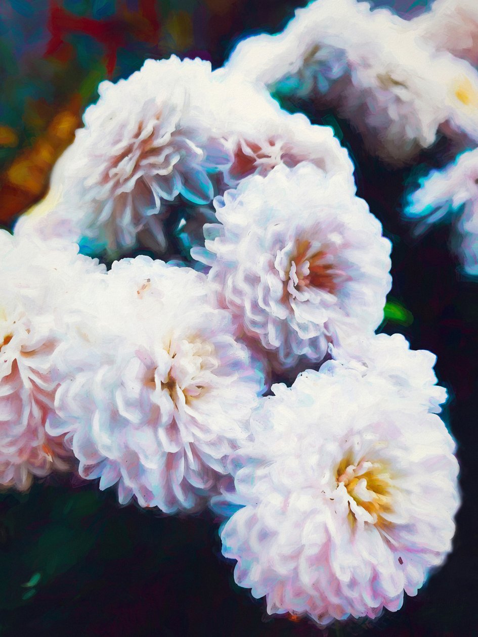 Softly Softly, 2020 af Helen White