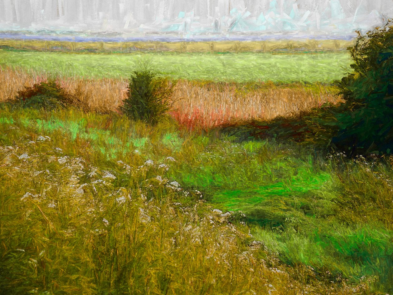 Summer Meadow, 2019 af Helen White