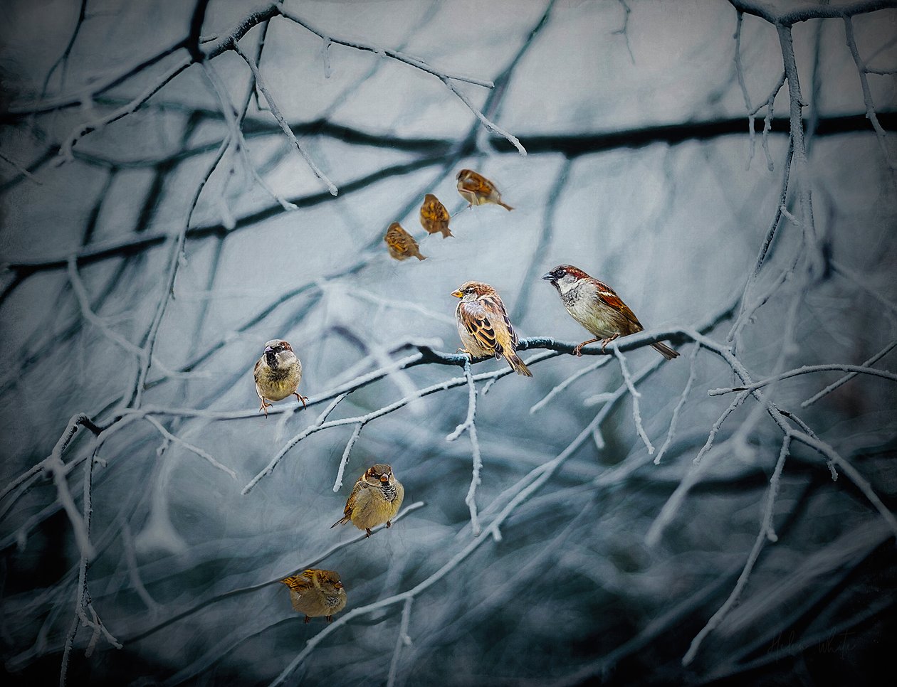 Vrimler med liv, 2019 af Helen White