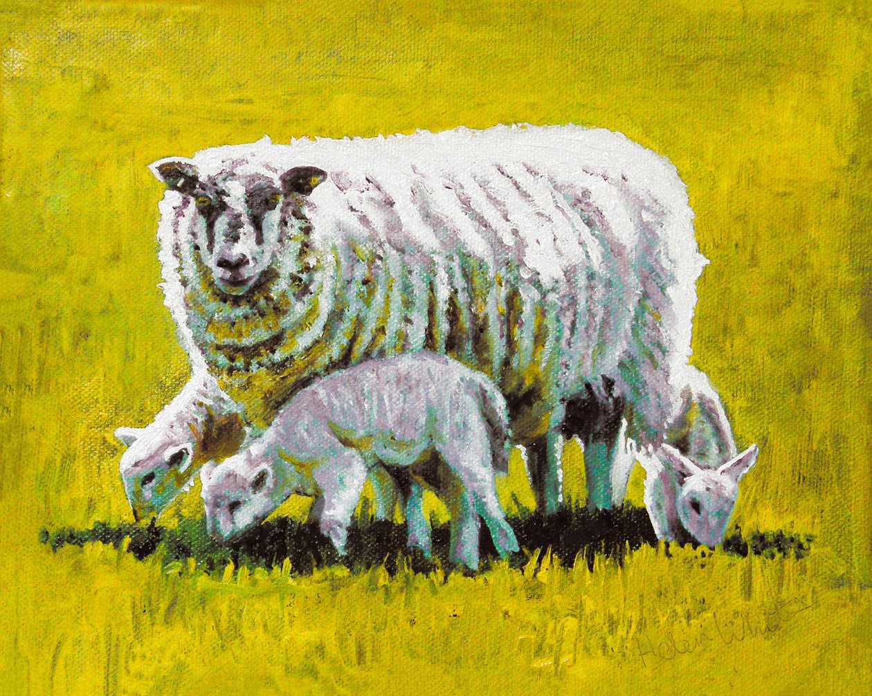 Together, 2009 (olie på lærred) af Helen White