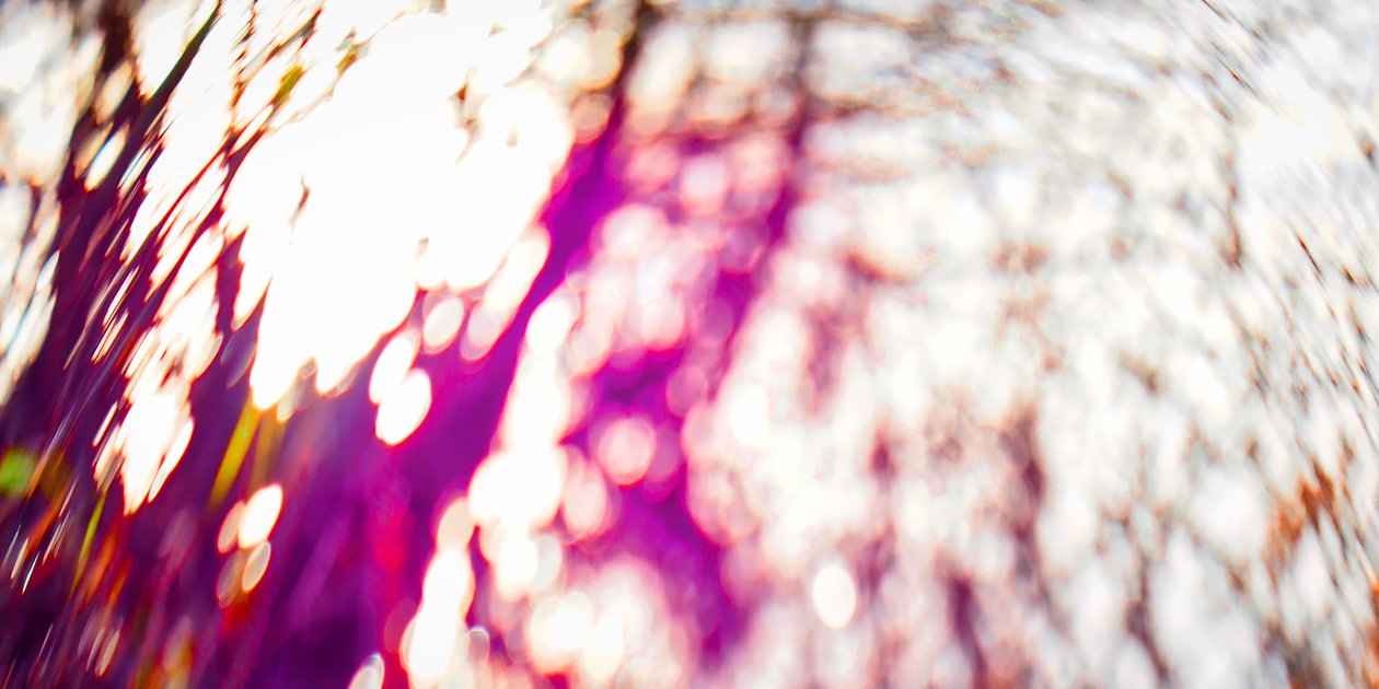 Træpalet, 2017, (manipuleret fotografi) af Helen White