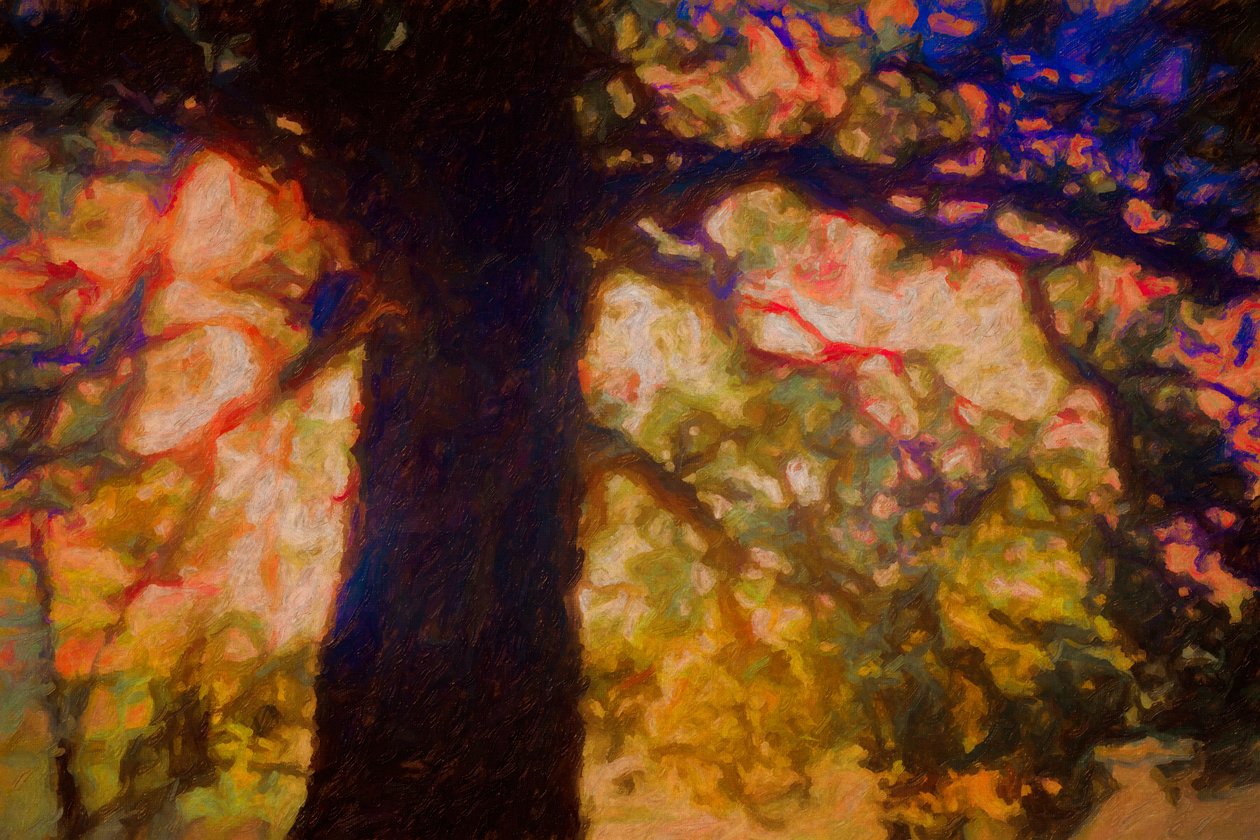 Under Spreading Oak, 2019 af Helen White