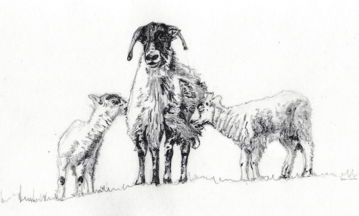  af Helen White