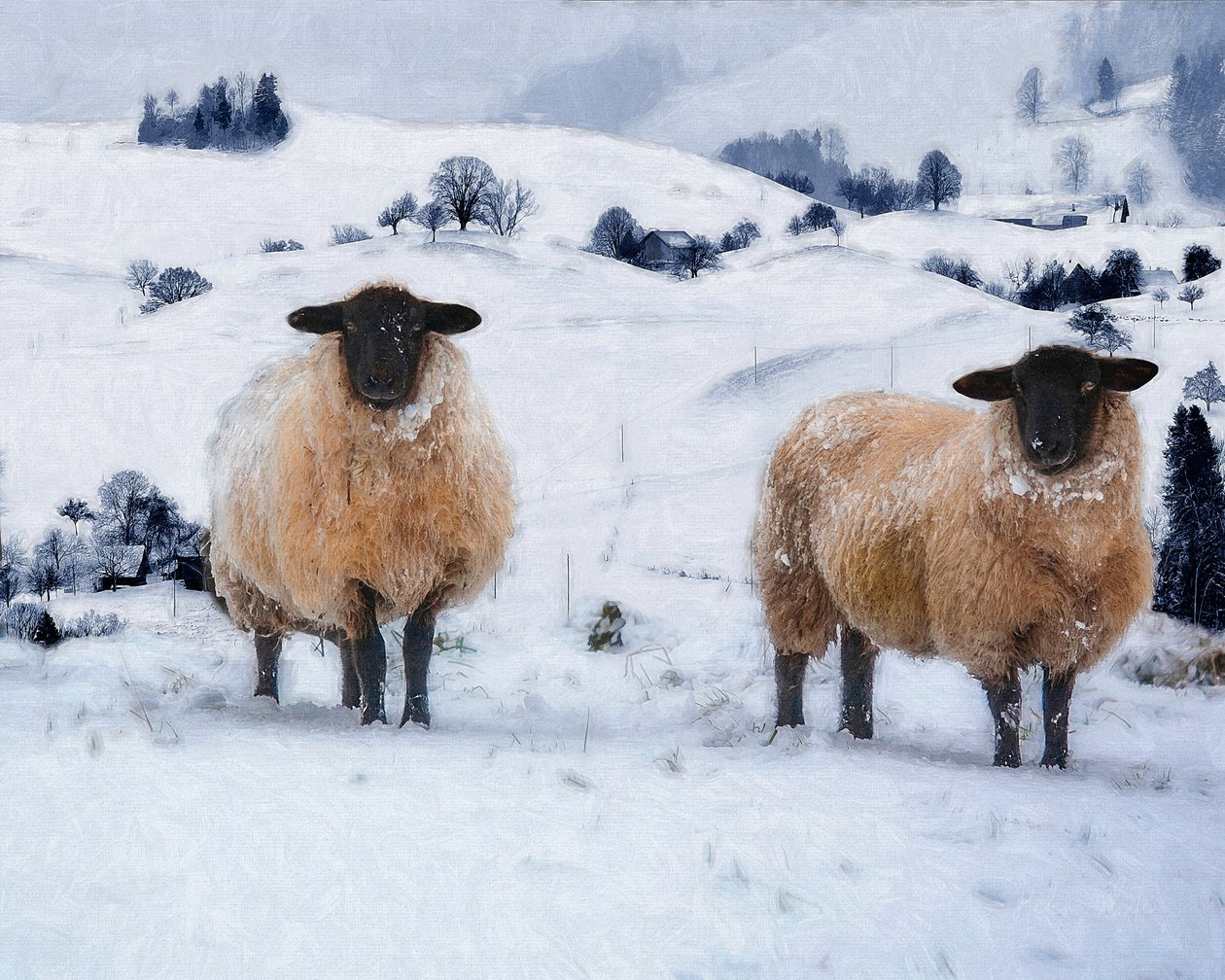 Vinterfrakker, 2019 af Helen White