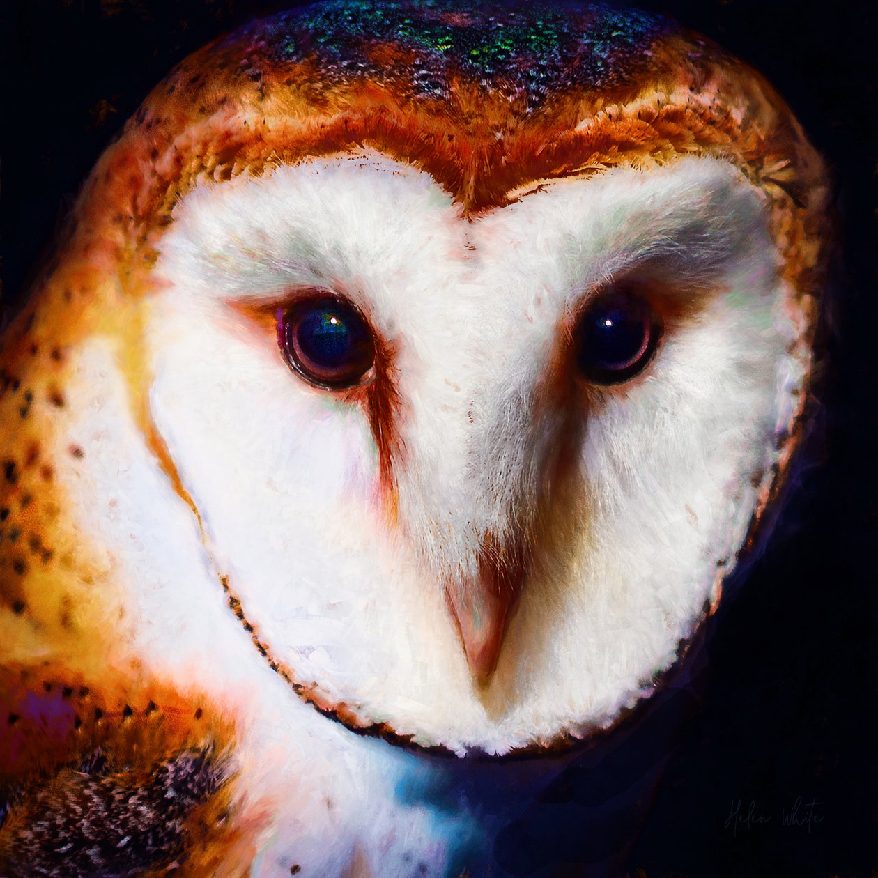 Wisdom in the Dark, 2019 (blandet medier) af Helen White