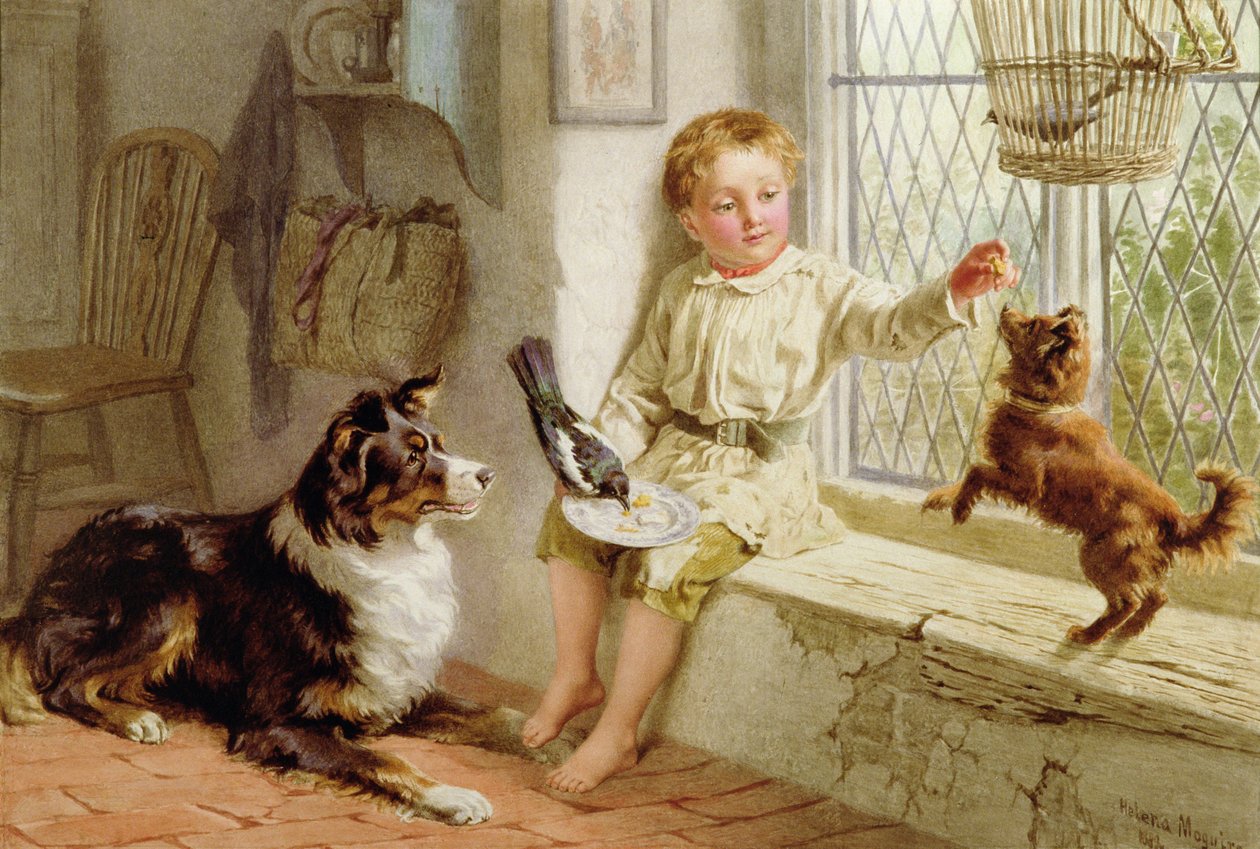 Venner af Helena J. Maguire