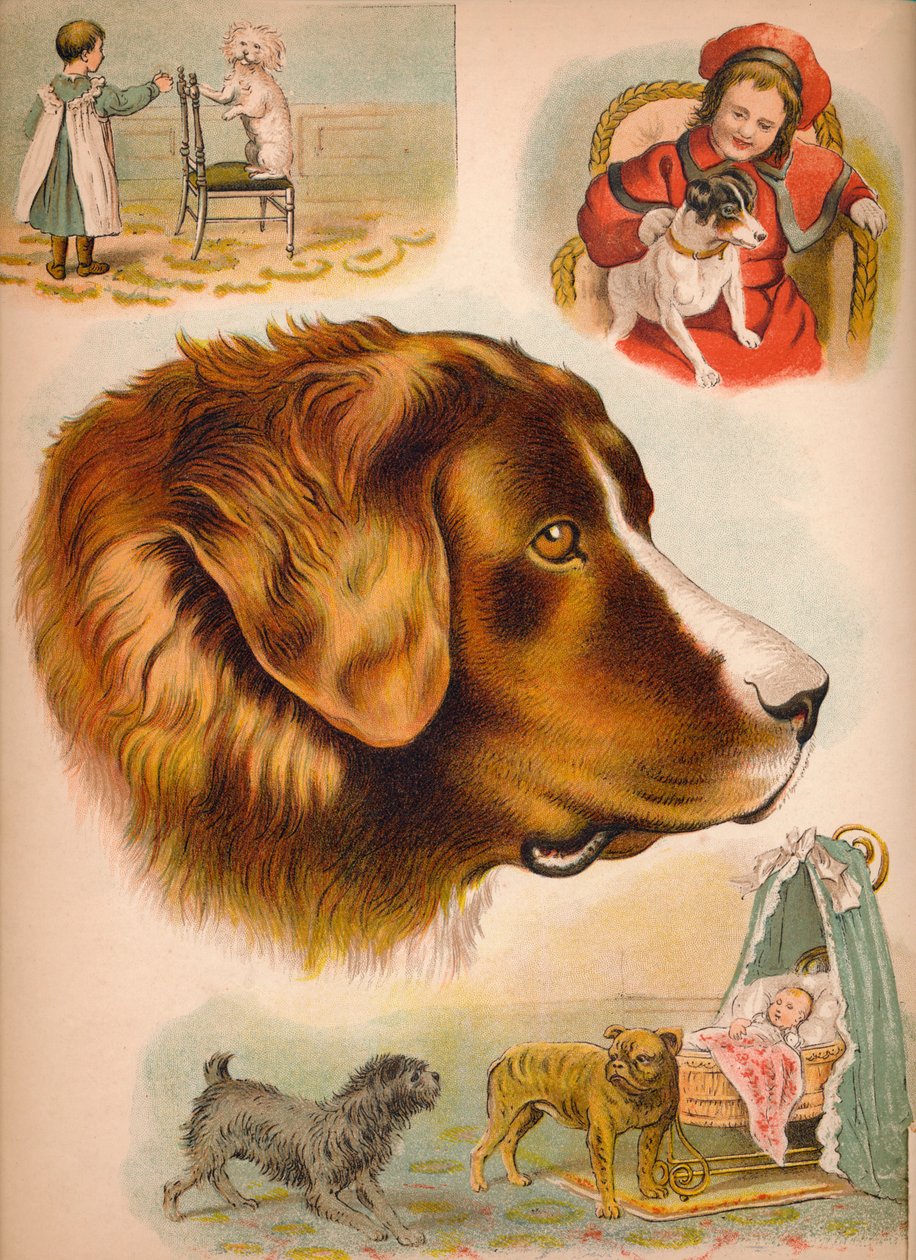 Hunden, c1900 af Helena J. Maguire