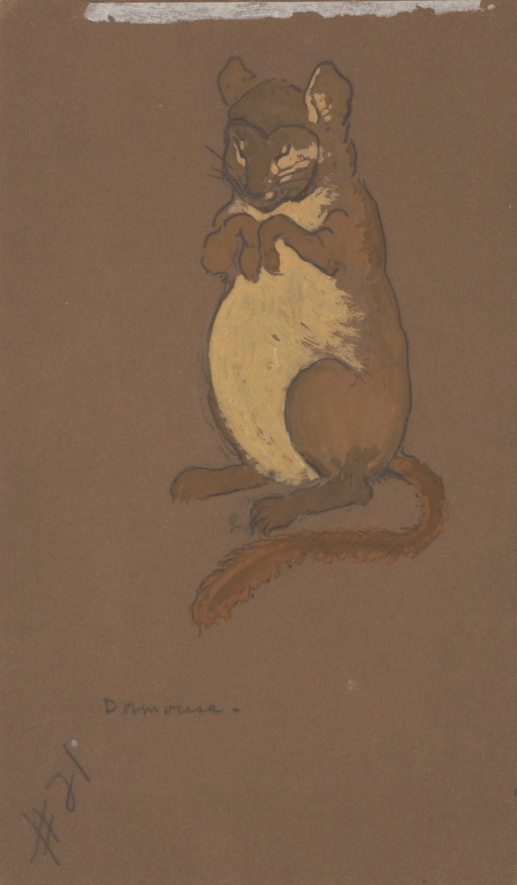 Dormouse (kostumedesign til Alice-in-Wonderland, 1915) af Henderson, William Penhallow