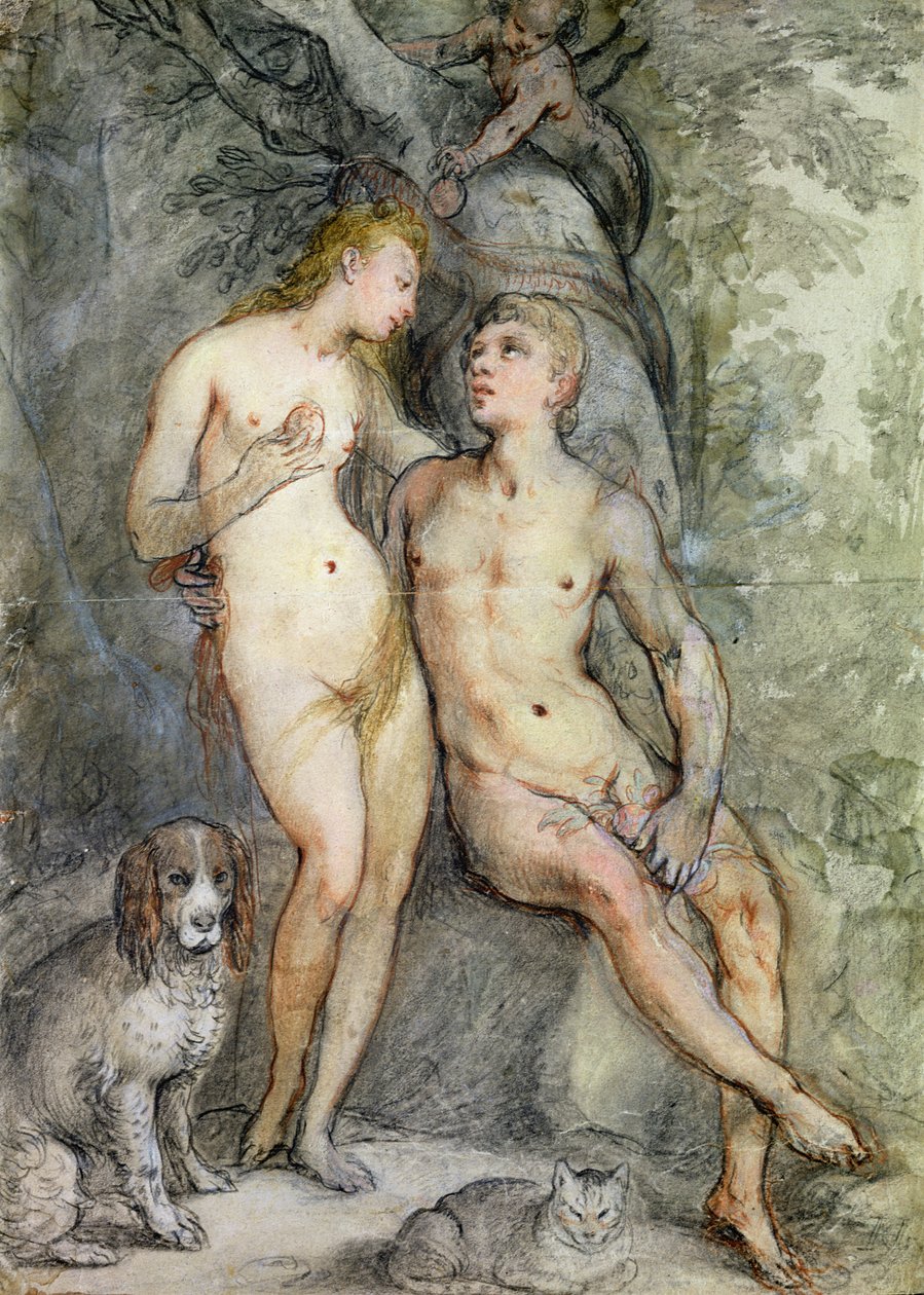 Adam og Eva (blyant og farveblyant på papir) af Hendrik Goltzius
